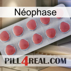 Néophase 18